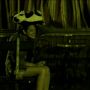 Filename=vlcsnap-492463.png
Filesize=177KB
Dimensions=576x304
Date added=Apr 22, 2009 vlcsnap-492463.png