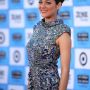marioncotillard_publicenemieslaff_okami_02.jpg