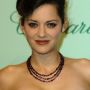 Filename=cannes15.jpg
Filesize=38KB
Dimensions=320x480
Date added=May 18, 2010 cannes15.jpg